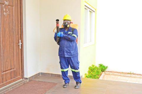 Pest Control & Disinfection & Fumigation